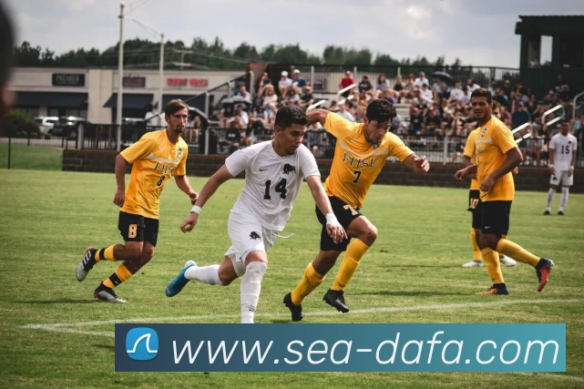 大发彩票APP 封面图